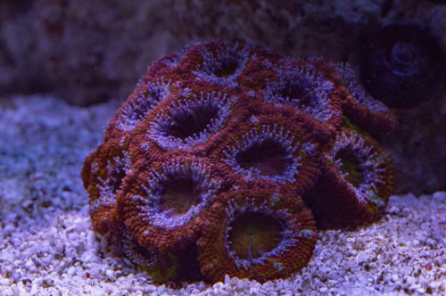 DSC_0018a.JPG
