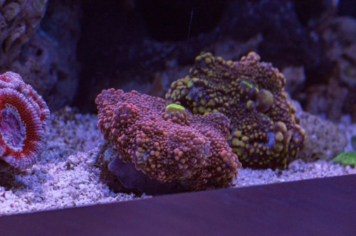DSC_0023a.JPG