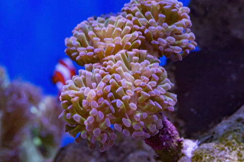 DSC_0030a.JPG