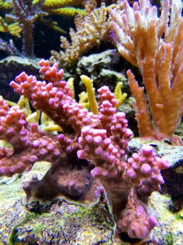 IMG_20190319_141242.jpg