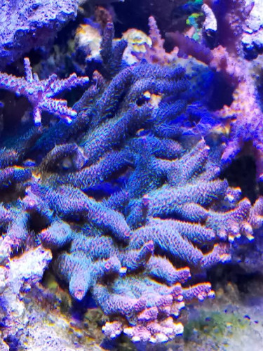 IMG_20190319_135313.jpg