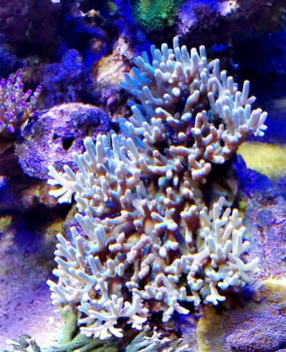 IMG_20190319_135522.jpg