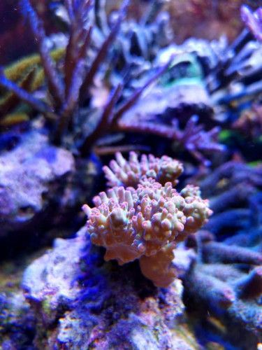 IMG_20190319_135616.jpg