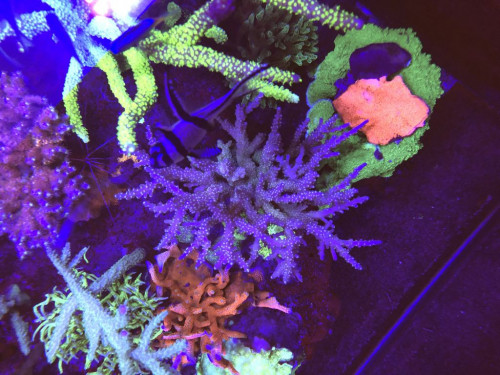 4947C500-9BD0-401A-B53A-379E12AAF090.jpeg