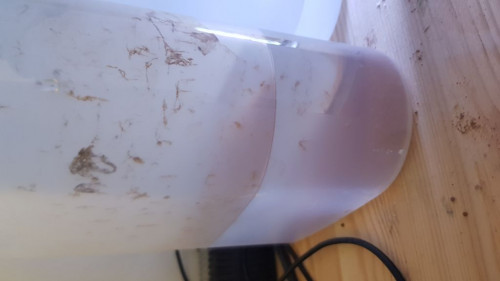 20190422_142451.jpg