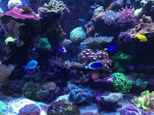 3AA3F723-81E1-4F8A-A617-285103DF0F00.jpeg