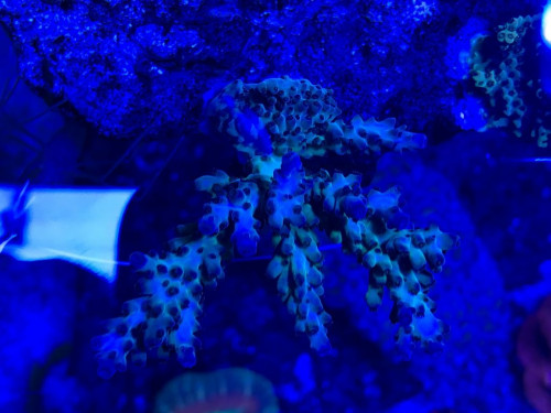 IMG_0308.jpg