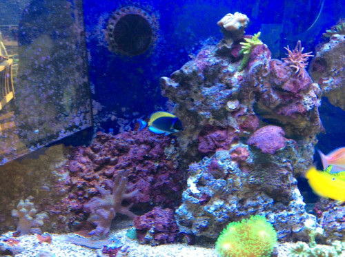 9BB8CDDA-1356-46DB-B35E-E935DD343DD2.jpeg