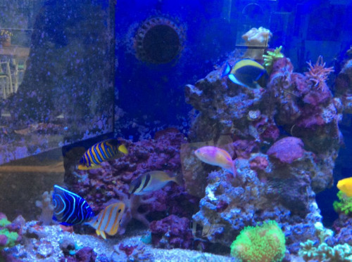 C1DE205E-0CFE-4659-B10C-D278F28735D7.jpeg