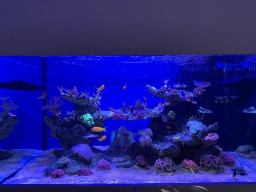 IMG_0335.jpg (106.28 KiB) Vist 2583 gange Kun LED tændt