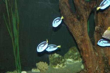 IMG_5547.JPG