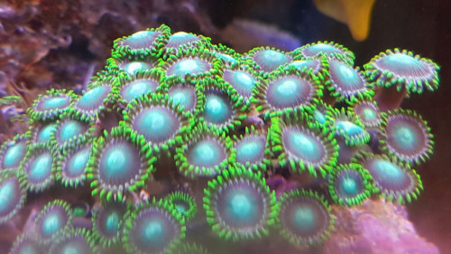 20190517_123732.jpg