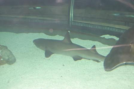 IMG_5558.JPG