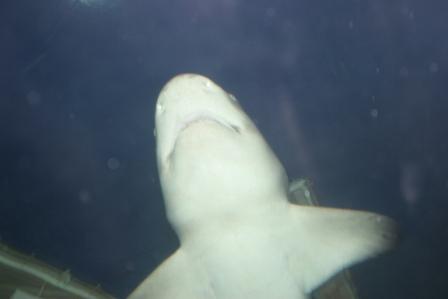 IMG_5563.JPG