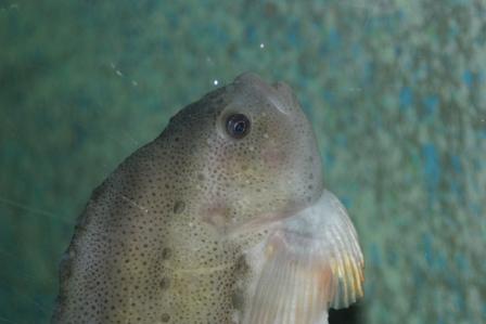 IMG_5586.JPG