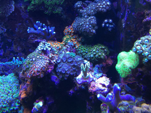 0D802F41-7D8B-4124-8EDA-12D530BCAE09.jpeg