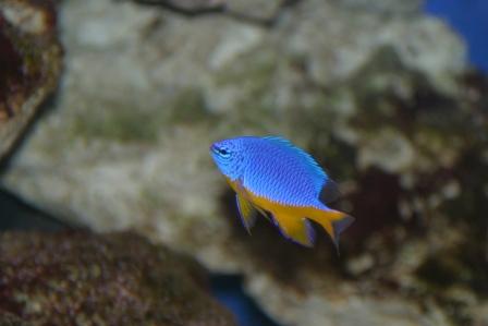 IMG_5635.JPG