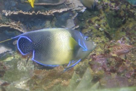 IMG_5641.JPG