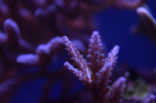DSC_0044.JPG