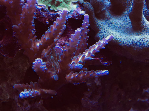 38286570-1E1A-43E5-B97D-A384BAFDB982.jpeg