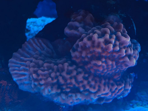 556D9FBD-2C9D-47DF-BDCB-5D313DAC5A46.jpeg
