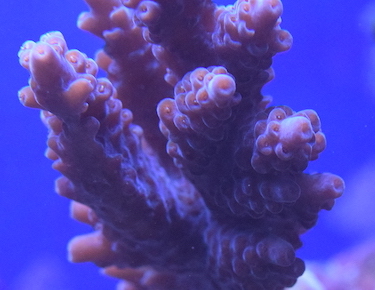 DSC_0118.JPG