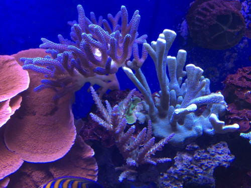 4A5D39AB-9465-4909-BA25-784B9B5AF0F6.jpeg