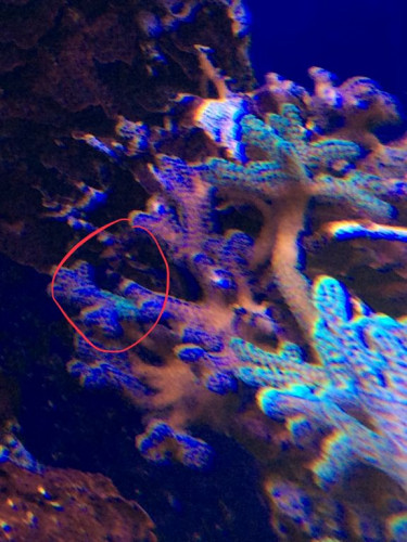 01129A1A-F04C-4E76-B5CF-9E059AB1778C.jpeg