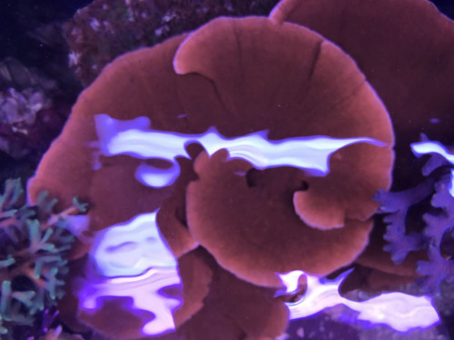 95A2E337-F241-4F97-819C-C52EBD6C1DD8.jpeg
