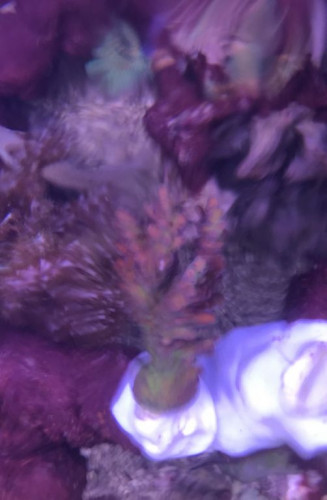 30ADDF91-DC71-4A4C-A30D-A772657DA2D9.jpeg