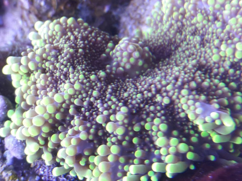 20191004_191226.jpg