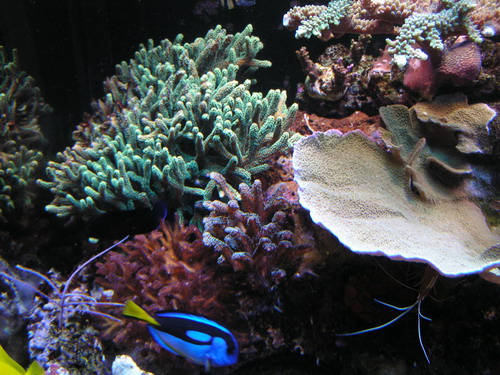 forum pic 75.jpg