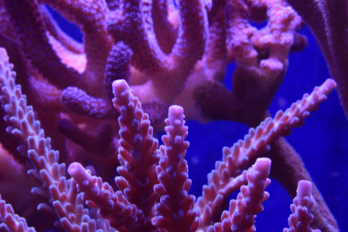 C7D0562B-61EC-48F6-8992-9C581B452489.jpeg