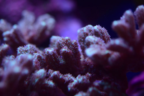 8C336C98-294E-473E-A65E-B1A35405EAB2.jpeg