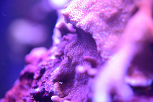 7367DBD4-9901-492F-8BDA-D9C674C2665D.jpeg