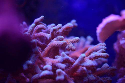E703F053-A759-43E9-8D55-3310DC119776.jpeg