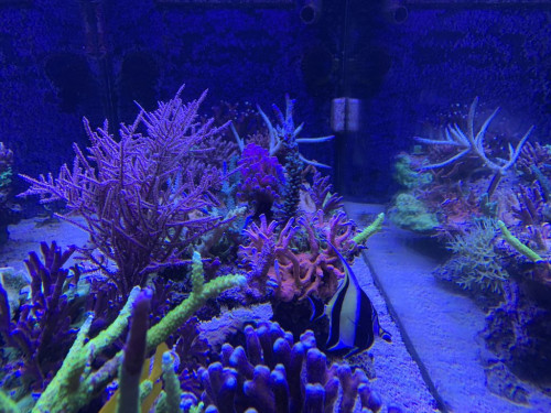 6090A0BE-EBB6-4EC4-80C2-2C7692252E5F.jpeg