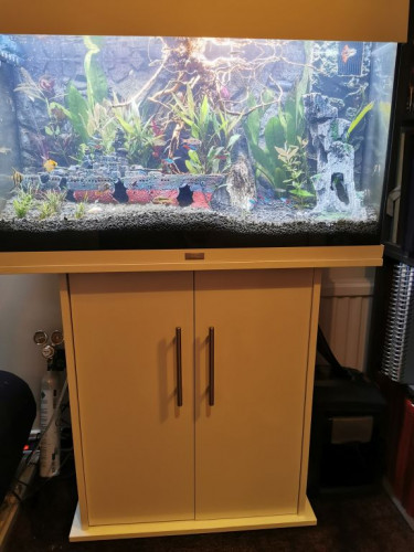 Ludvis Akvarium.jpg