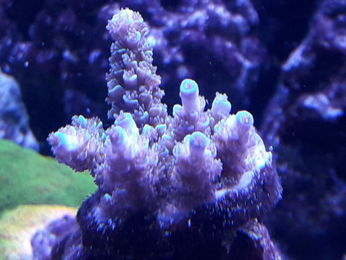 20191106_163534.jpg