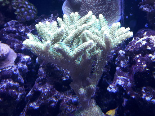 20191106_163622.jpg