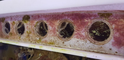 Jeg har 6 filtersokker på. Renses lejlighedsvis. De skrubbes i vand fra sumpen. Bruger man hanevand, vil de være længe om at opbygge bakteriefaunaen på inder- og ydersiden. Til det sker, vil de skulle renses oftere, måske dagligt.
