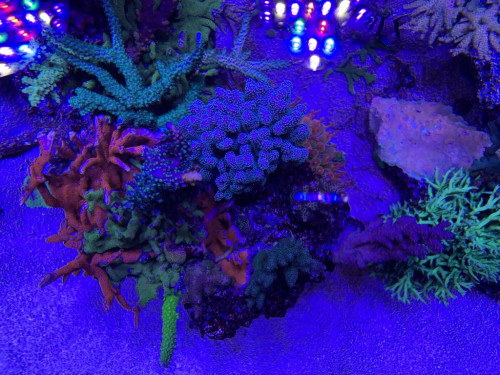 09C8134C-FF55-49FD-AAA4-3ECBE4A4CC90.jpeg