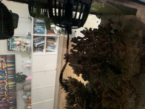 3CECA8E0-D303-4426-BDF4-E32FFA6852F4.jpeg