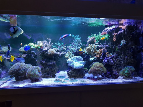 20191224_100512.jpg
