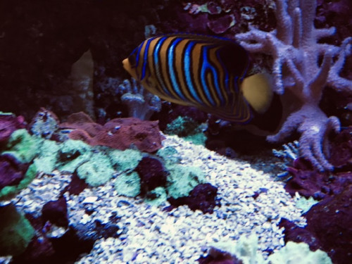 E49E28C1-A941-4127-A744-AD0428A2E36A.jpeg