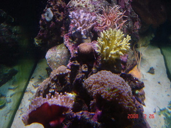 DSC08491.jpg