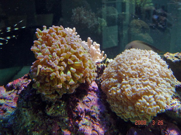 DSC08480.jpg