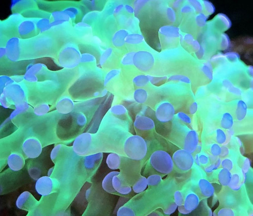 57311A54-6A48-4088-97B2-C4D684FD0C6C.jpeg