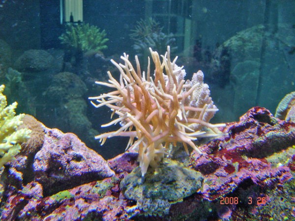 DSC08475.jpg