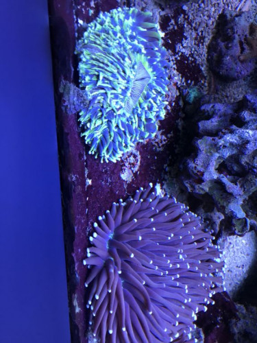 0A34CD02-F685-44F5-8E3E-8D88147FC1A6.jpeg